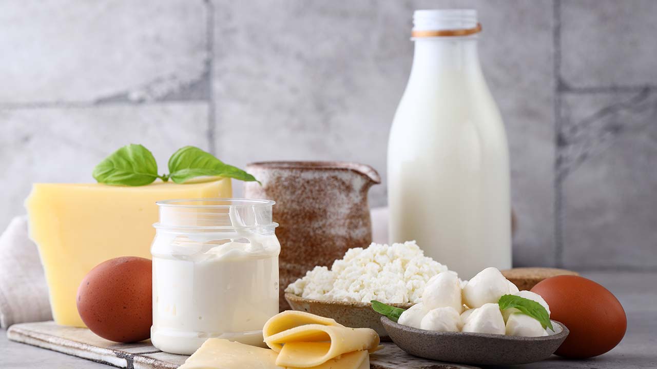 assortment dairy products cheese, milk, sour cream