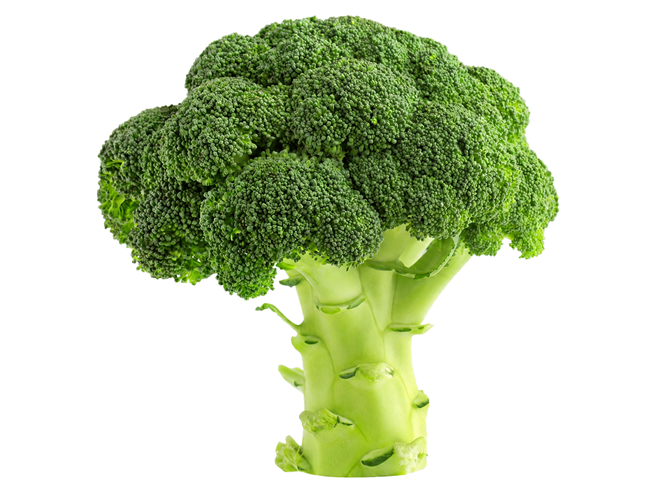 fresh-green-broccoli-isolated-on-a-white-backgroun-2026-03-09-05-00-43-utc1